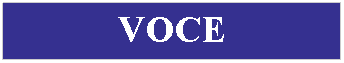 Casella di testo: voce
